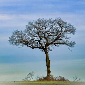 Meet your Posher, Pwetty